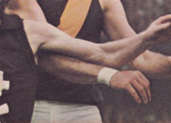 1973 Scanlens VFL #33 Leigh Matthews Back
